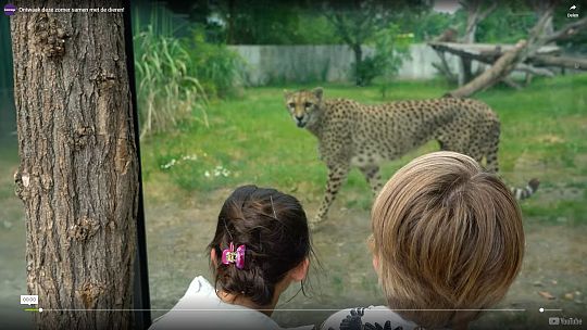 dierenrijk-cheeta-1690577741.jpg